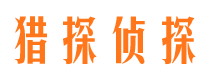 盐都市调查公司